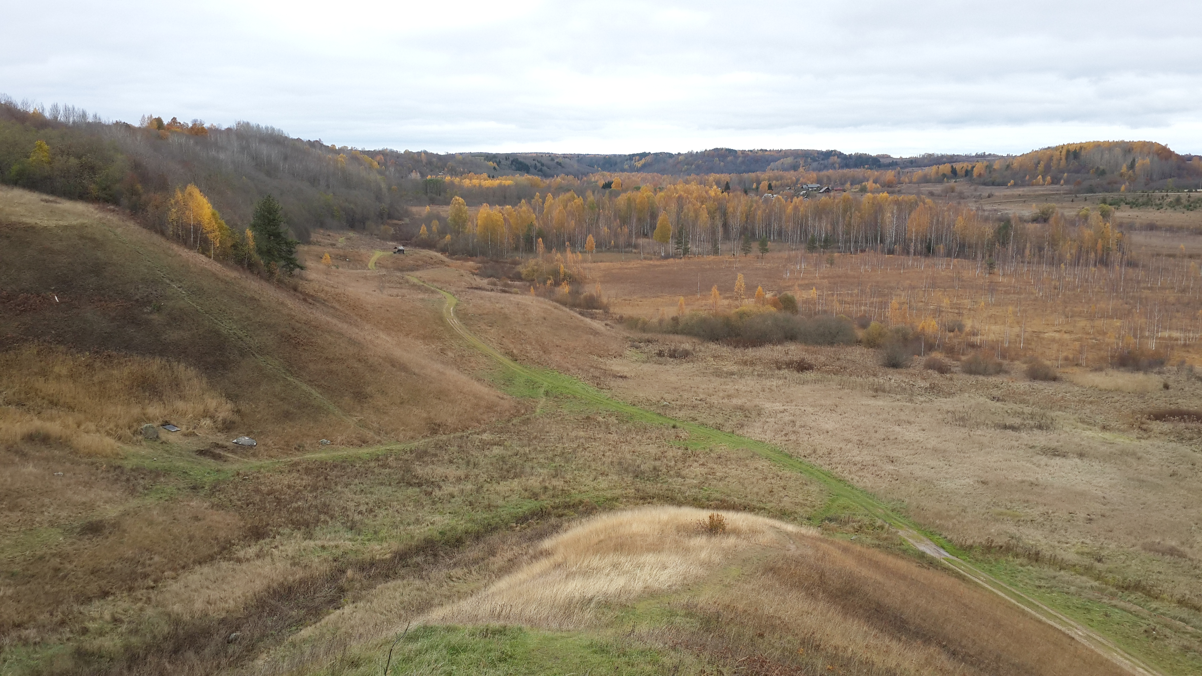 20151024_134738.jpg